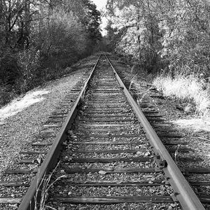 Meet your Posher, Bryce